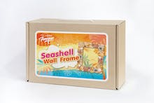 Seashell wall frame